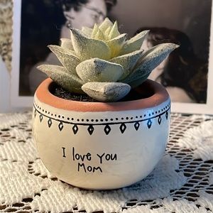 Natural Life: Faux Succulent “I Love You Mom”